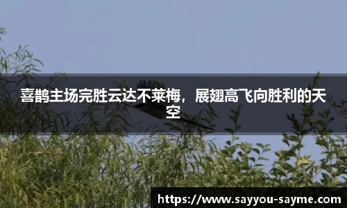 喜鹊主场完胜云达不莱梅，展翅高飞向胜利的天空