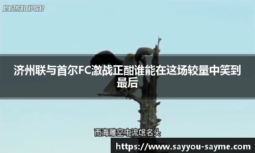 济州联与首尔FC激战正酣谁能在这场较量中笑到最后
